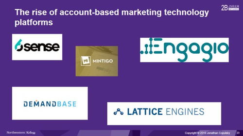 How US B2B Companies Create Customer Value with Digital Technology Services